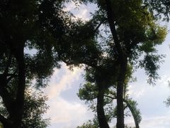 -西湖天地
