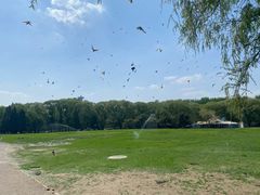 -银树楼(紫玉山庄东区店)