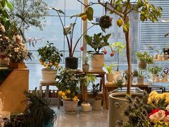-dotcom coffee古点咖啡(致真大厦店)