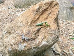 -武汉姚家山旅游景区