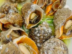 -望海潮海鲜店 特色家常菜(在海一方店)