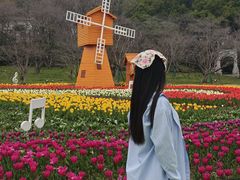 -苏州上方山国家森林公园