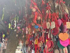 -白帝城·瞿塘峡景区