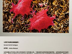 -福建博物院