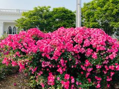 -龙美术馆(西岸馆)