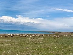 -青海湖国家重点风景名胜区