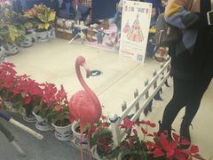-南京市规划建设展览馆