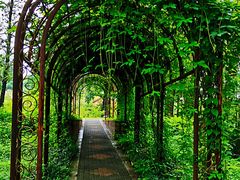 -国家植物园南园