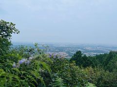 -北京西山国家森林公园