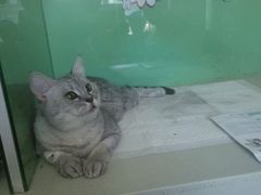 -瑞派宠物医院·24小时骨科·心脏·核磁(哈尔滨南岗店)
