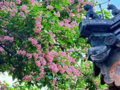 -承恩寺