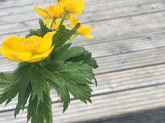 -金刚山烧烤(红旗大街店)