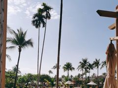 -亚龙湾希尔顿自助餐厅·海鲜·烧烤·沙滩BBQ·现场乐队