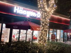 -哈根达斯(武汉天地店)