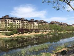 -马家湾湿地公园