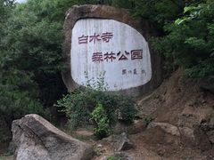 -白水寺森林公园