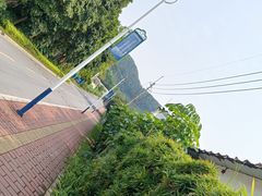 -火炉山森林公园