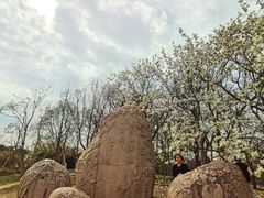 -上海共青森林公园