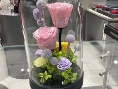 -ROSEONLY诺誓(国际广场购物中心店)