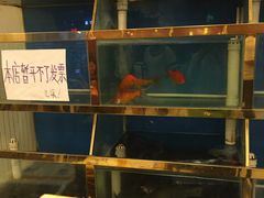 水产区-秦记香辣蟹(松榆里店)