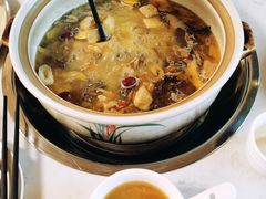 -山菌美食苑(振兴路店)