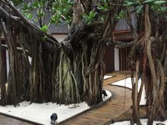 -中央格兰德岛温泉度假酒店 - 全包