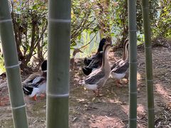 -天目湖涵田度假村
