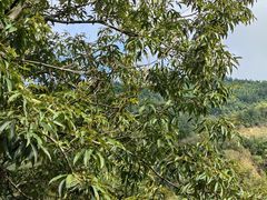 -杭州城北体育公园