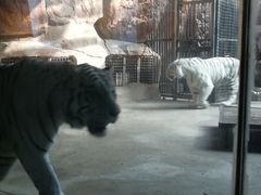 -鄂尔多斯野生动物园