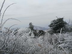 -王顺山国家森林公园