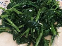 革命菜-墨脱石锅椰子鸡•香草鸭•东山羊(大东海店)