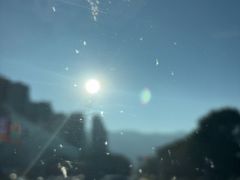 -洱海月湿地公园