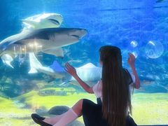 -烟台海昌鲸鲨海洋公园