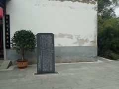 -金鸡山公园