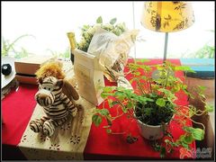 -Babycat私家御饼屋(龙头路一店)