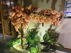 -合和大唐(江夏纸坊店)