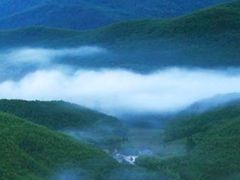 -武陵山森林公园