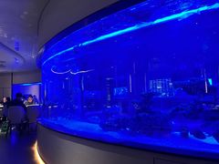 -上和臻品中国菜(花园街店)