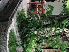 -喵屿·大理花园猫咖