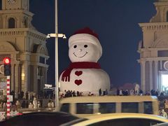 -金刚山烧烤(红旗大街店)