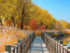 -野鸭湖国家湿地公园