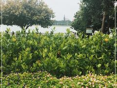 -海珠湖公园