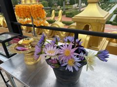 -东芭乐园
