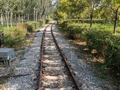 -西青郊野公园