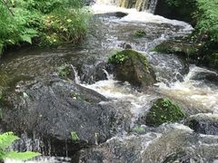 -五营红松林海景区