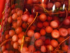 枸杞灵芝酒-闯关东东北农家菜(崂山石老人店)