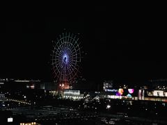 -台场海滨公园船码头
