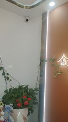 -金美秀养生瘦身