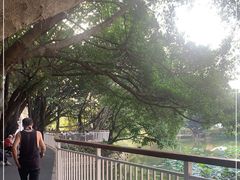 -人民公园(罗湖区)