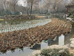 -木塔寺遗址生态公园